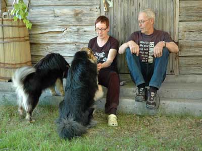 Isäntäväki koirien kanssa